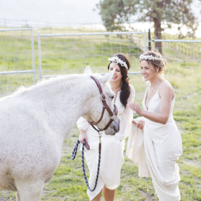 LGBTQ Wedding Celebrant